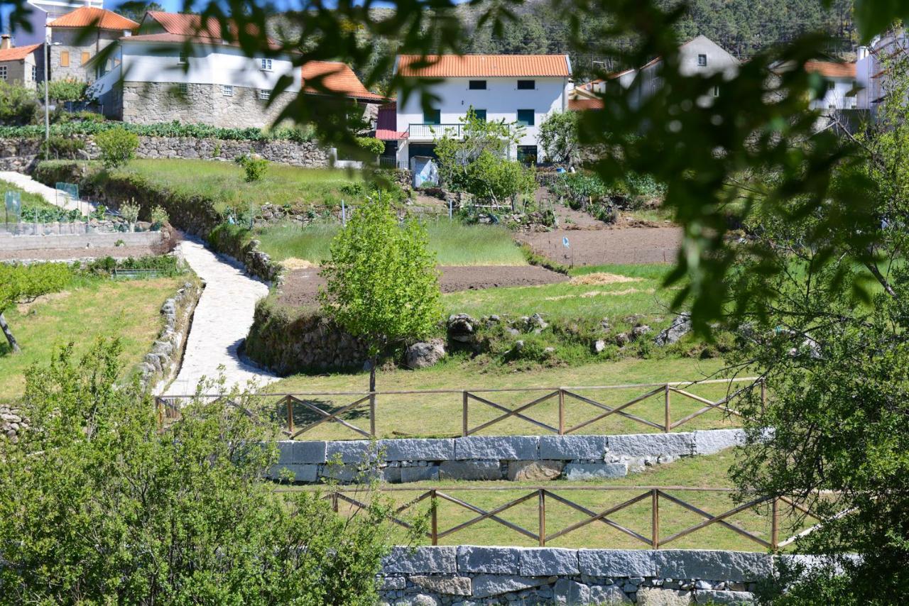 Villa Casa Dos Alcaides Sabugueiro  Exterior foto